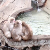 %e3%81%95%e3%82%8b%e3%81%a0%e3%82%93%e3%81%94